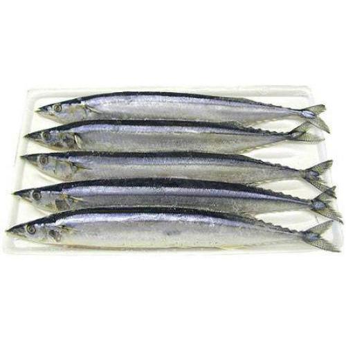 秋刀魚 ( 65/75 )
