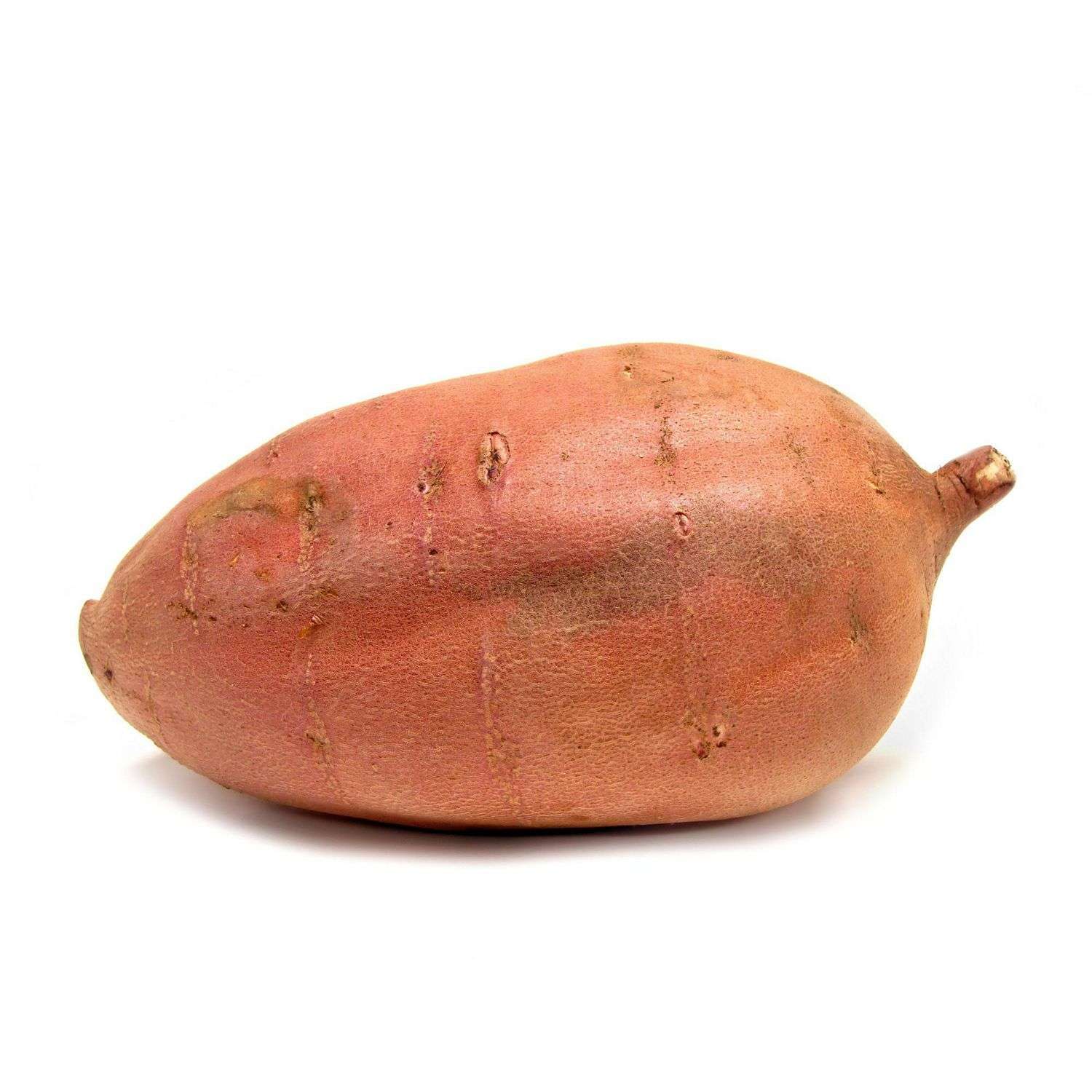 【YAM】 Japan Yam | NTFOODS
