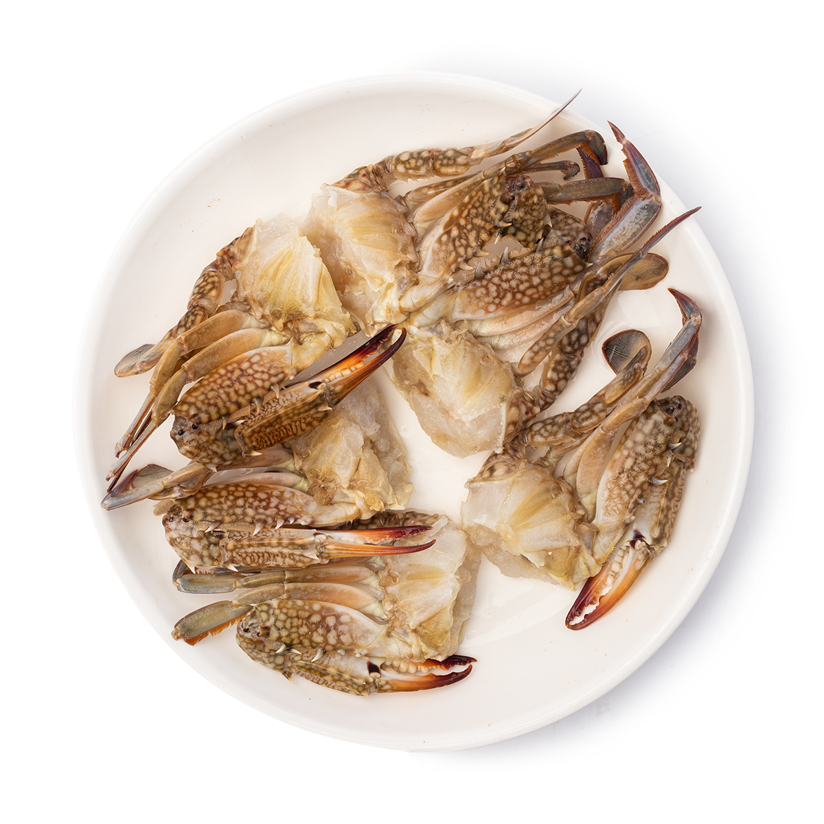 NTFOODS